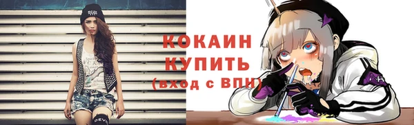 соль ск Бородино