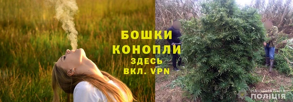 соль ск Бородино